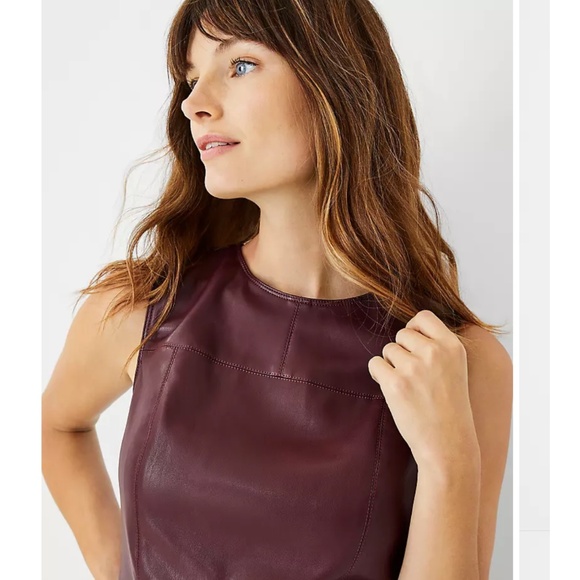 Ann Taylor Faux Leather Sheath Dress Maroon Fit/Flare Size 2 NWT - Picture 4 of 11
